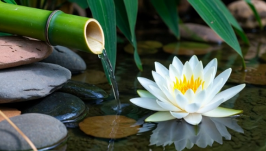 Ontspanningsmuziek, Rustige Muziek, Rustgevende Muziek Voor Meditatie